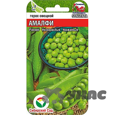 Горох Амалфи СибСад Ц