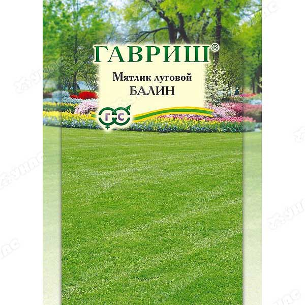Мятлик луговой Балин Гавриш Ц