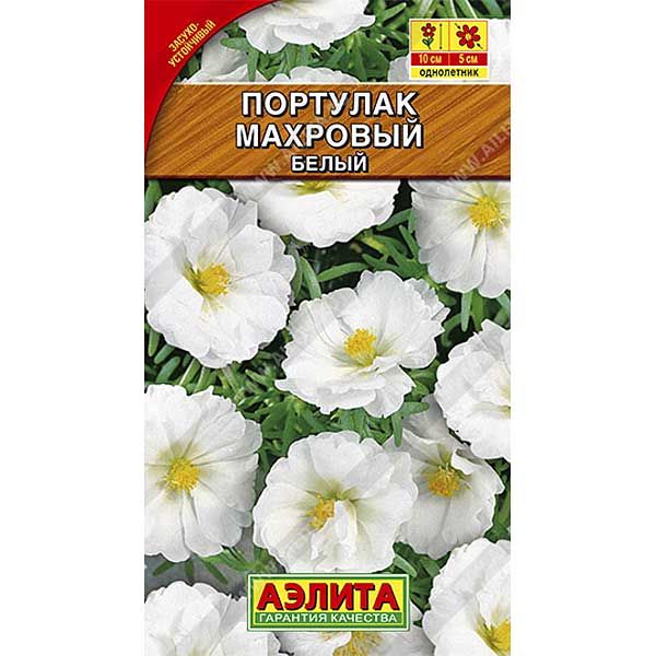 Портулак Махровый белый Аэлита Ц 