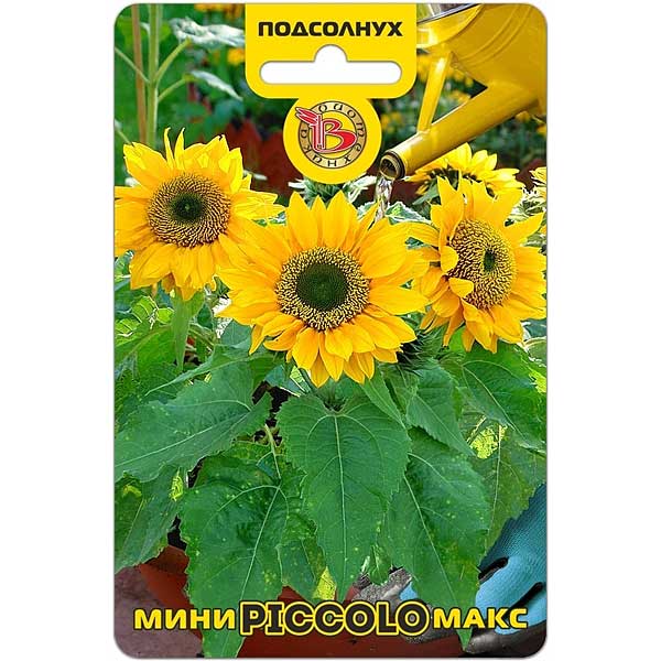 Семена Подсолнух мини-макс Пикколо Биотехника Ц 