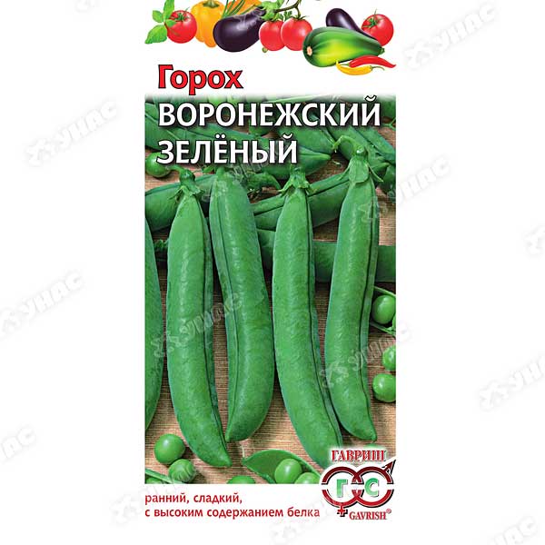 Горох Воронежский зел. Гавриш Ц
