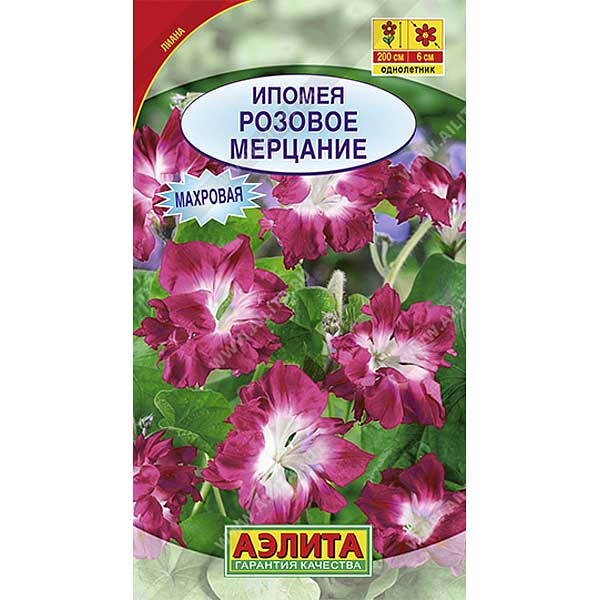 Ипомея Розовое мерцание Аэлита Ц 