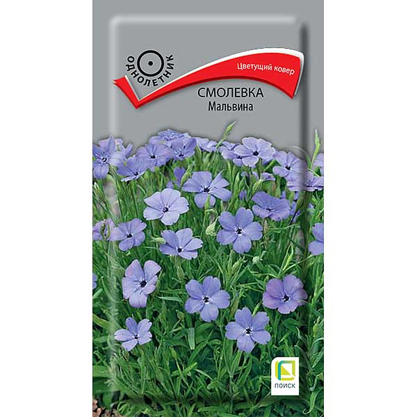 Смолевка Мальвина Поиск Ц х20 