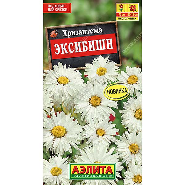Хризантема Эксибишен Аэлита Ц 
