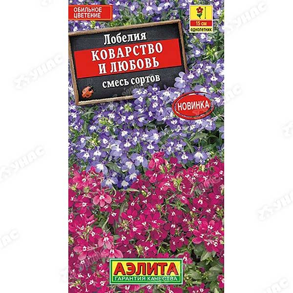 Лобелия Коварство и любовь Аэлита Ц 