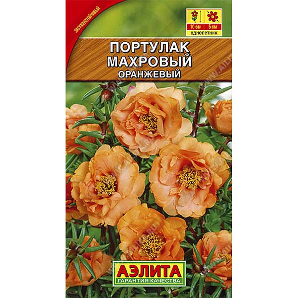 Портулак Махровый оранжевый Аэлита Ц 