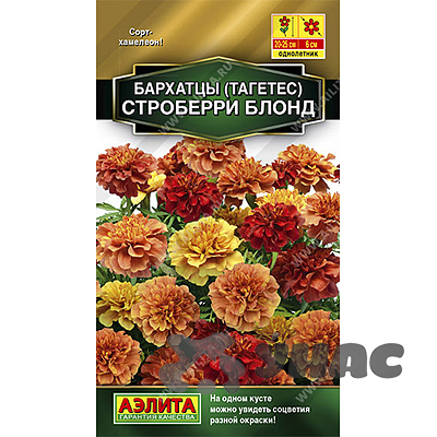 Бархатцы Строберри блонд отклон Аэлита Ц 