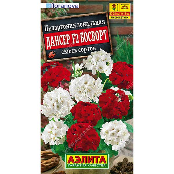 Пеларгония Дансер Босворт Аэлита Ц 