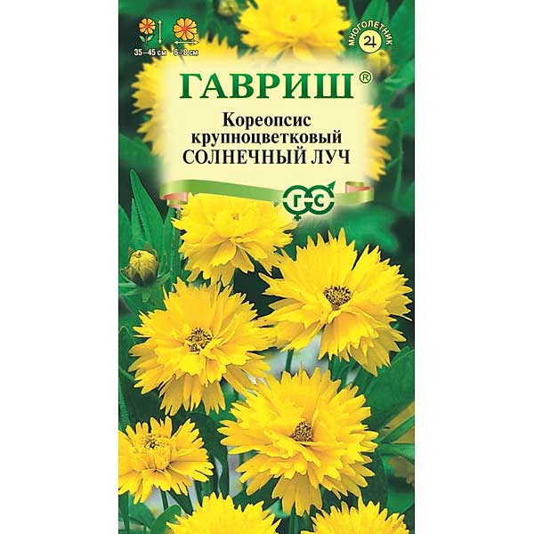 Кореопсис Солнечный луч Гавриш Ц 