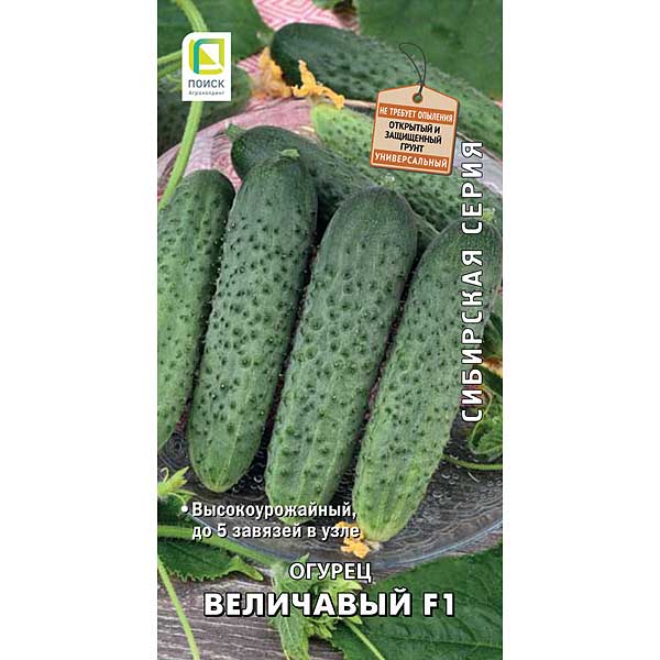 Огурец Величавый Сибирская серия Поиск Ц