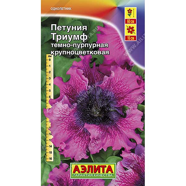 Петуния Триумф темно-пурпурная крупн. Аэлита Ц 