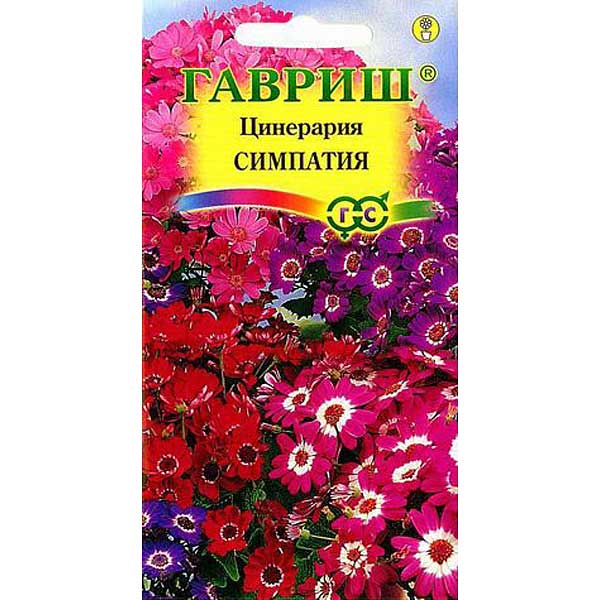 КОМ Цинерария Симпатия гибридная цвет. Гавриш Ц 