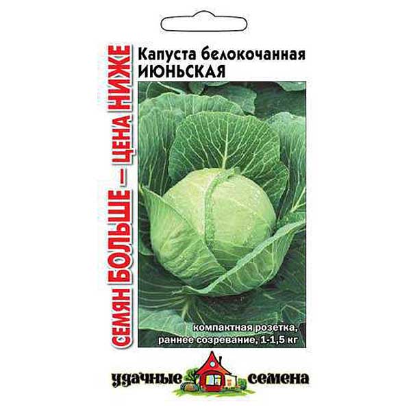 Капуста Июньская Удачные Семена Семян больше Гавриш Ц