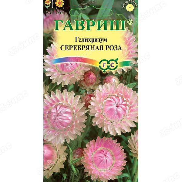 Гелихризум Серебряная роза Гавриш Ц 