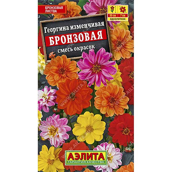 Георгин Бронзовая смесь Аэлита Ц 