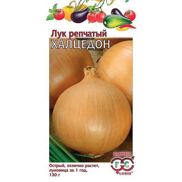 Лук Халцедон репч. Гавриш Ц