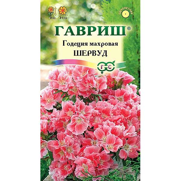 Годеция Шервурд Гавриш Ц 