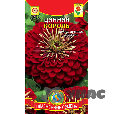 Циния Король Плазма Ц 