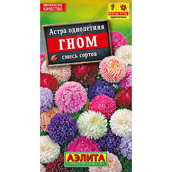 Астра Гном смесь Аэлита Ц 