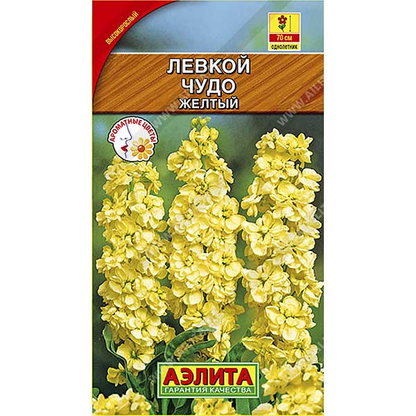 Левкой Чудо желтый высокоросл. Аэлита Ц 