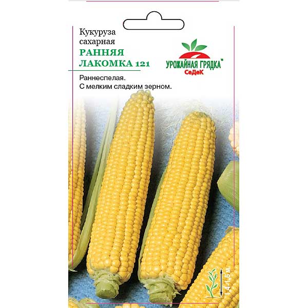 Кукуруза Ранняя Лакомка сахарная Седек Ц
