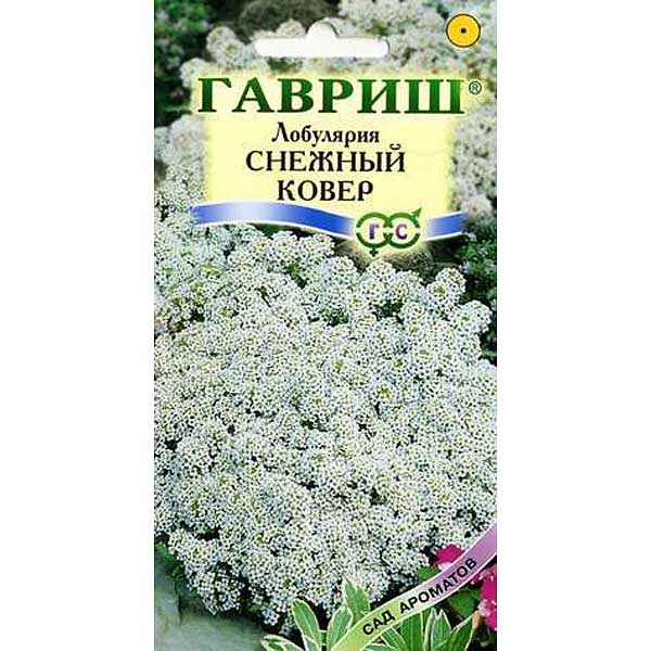 Лобулярия Снежный ковер морская (Сад ароматов) Гавриш Ц 