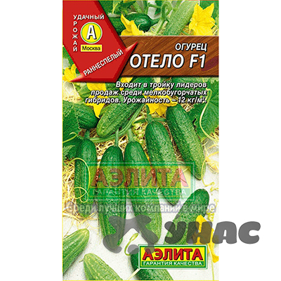 Огурец Отело Аэлита Ц