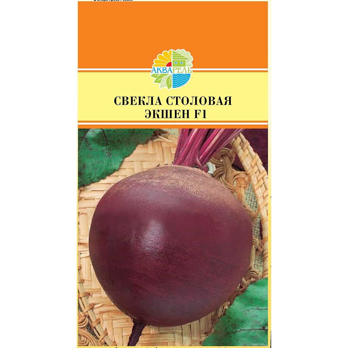 Купить Семена Свеклы Рафинад