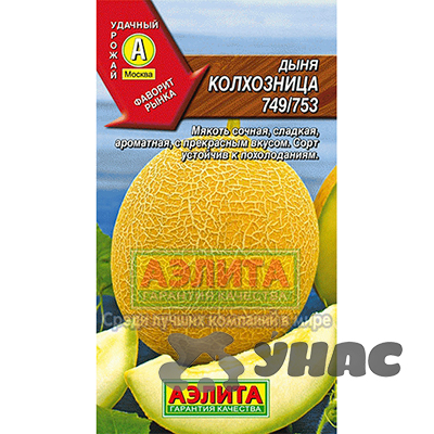 Дыня Колхозница Аэлита Ц