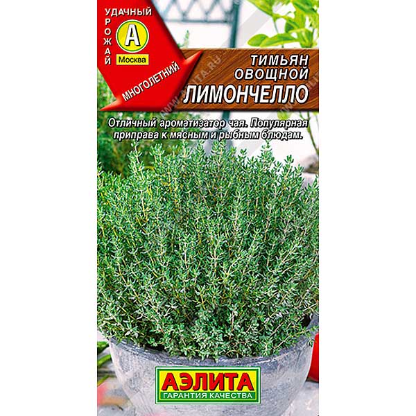 Тимьян Лимончелло овощной Аэлита Ц