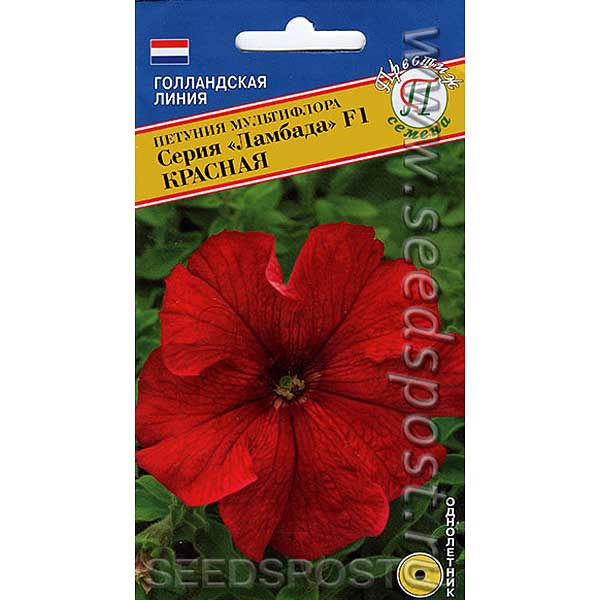 Петуния Ламбада многоцветковая Аэлита Ц 