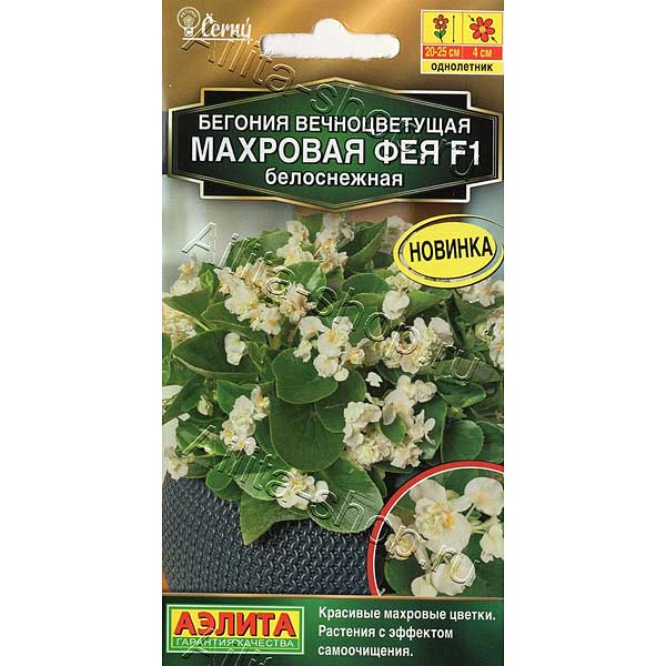 КОМ Бег Фея белоснежная Аэлита Ц х10 