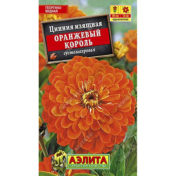 Циния Оранжевый король Аэлита Ц х10 