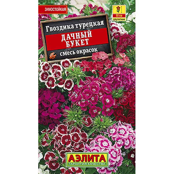 Гвоздика турецкая Дачный букет Аэлита Ц 