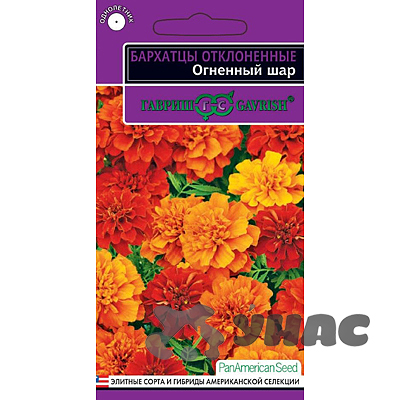 Бархатцы Огненный шар (Тагетес) Гавриш Ц 