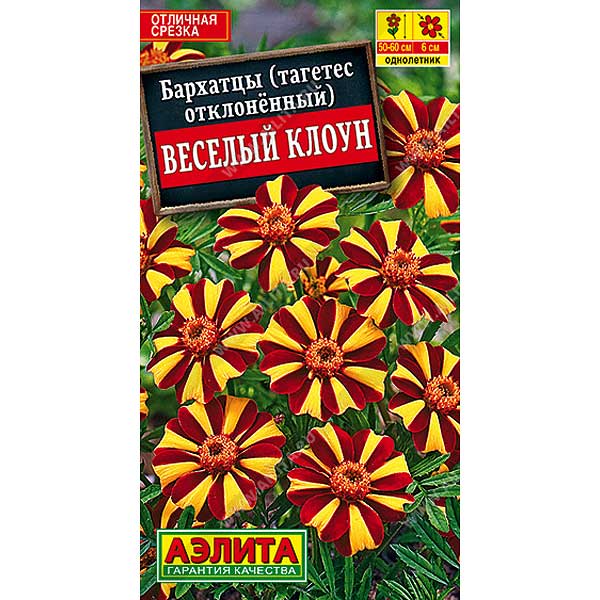 Бархатцы Веселый клоун отклоненные Аэлита Ц 