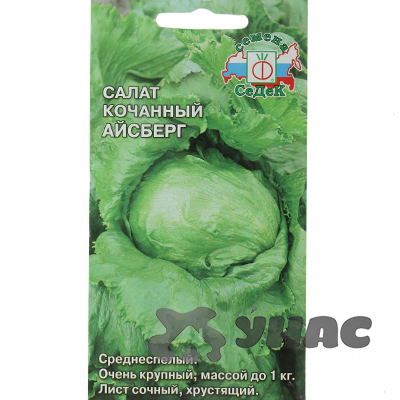 Салат Айсберг Седек Ц – купить семена оптом
