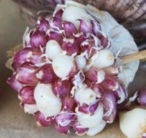 Воздушная бульба Любаша 200гр