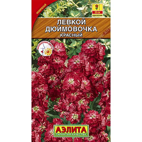 Левкой Дюймовочка красный Аэлита Ц 
