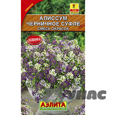 Алиссум Черничное суфле смесь Аэлита Ц 