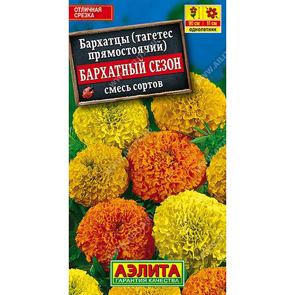 Бархатцы Бархатный сезон Аэлита Ц 