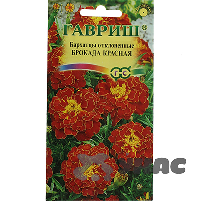 Бархатцы Брокада красная  Гавриш Ц 