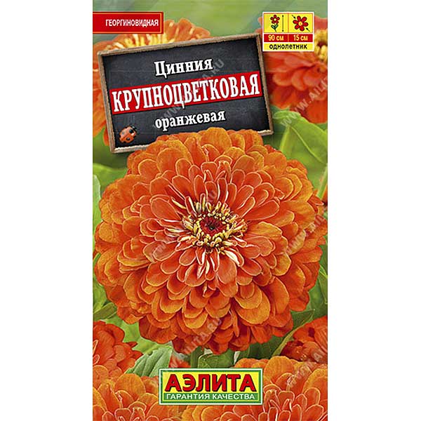 Циния Крупноцветковая оранжевая Аэлита Ц х10 
