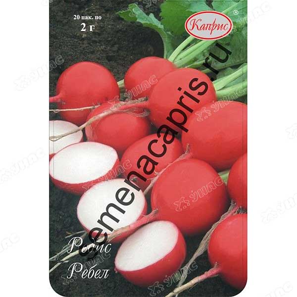 Редис Ребел (Нидерланды) Каприс