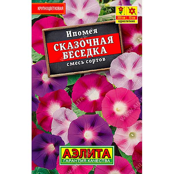 Ипомея Сказочная беседка "Лидер" Аэлита Ц 