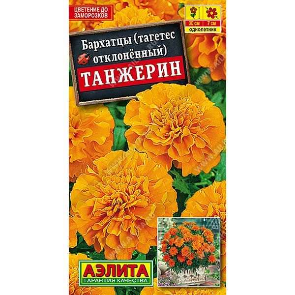 Бархатцы Танжерин Аэлита Ц 
