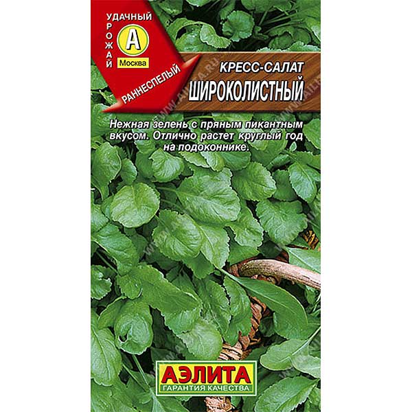 Кресс-салат Широколистный Аэлита Цx10