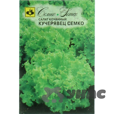 Салат Кучерявец Семко Ц