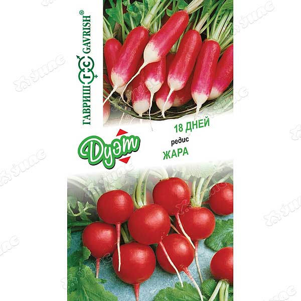 Редис Дуэт 18 дней+Жара Гавриш Ц