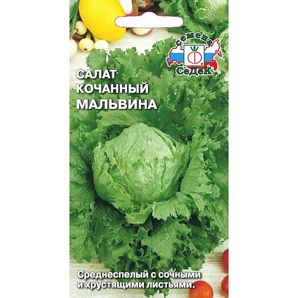 Салат Мальвина Седек Ц